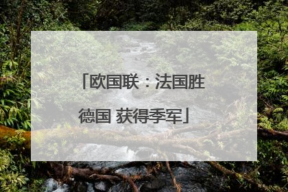 欧国联：法国胜德国 获得季军