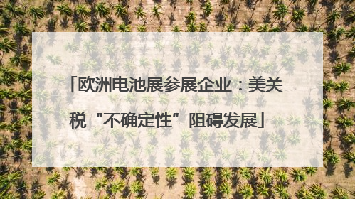 欧洲电池展参展企业：美关税“不确定性”阻碍发展