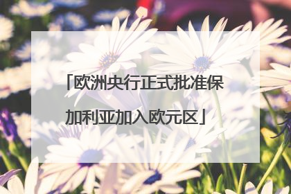 欧洲央行正式批准保加利亚加入欧元区
