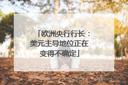 欧洲央行行长：美元主导地位正在变得不确定
