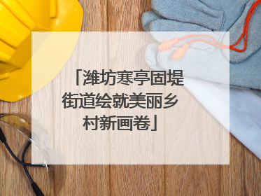 潍坊寒亭固堤街道绘就美丽乡村新画卷