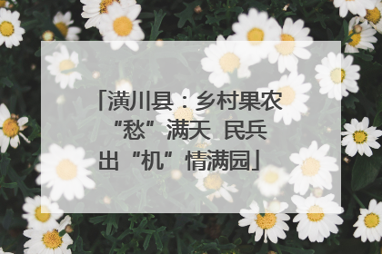 潢川县：乡村果农“愁”满天  民兵出“机”情满园