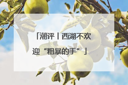 潮评丨西湖不欢迎“粗暴的手”