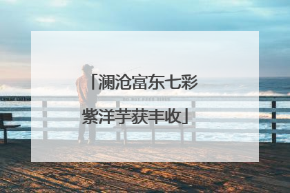 澜沧富东七彩紫洋芋获丰收