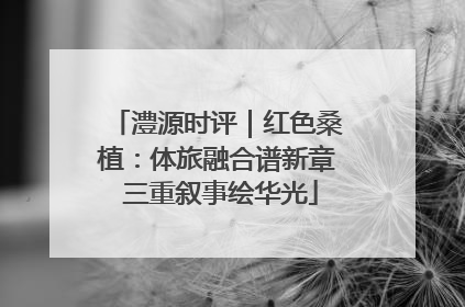 澧源时评｜红色桑植：体旅融合谱新章 三重叙事绘华光