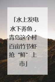 水上发电水下养鱼，青岛这个村百亩竹节虾抢“鲜”上市