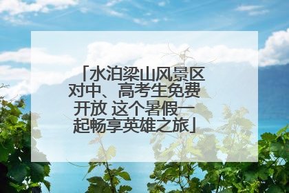 水泊梁山风景区对中、高考生免费开放 这个暑假一起畅享英雄之旅