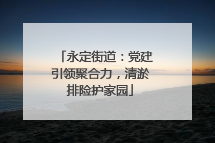 永定街道：党建引领聚合力，清淤排险护家园