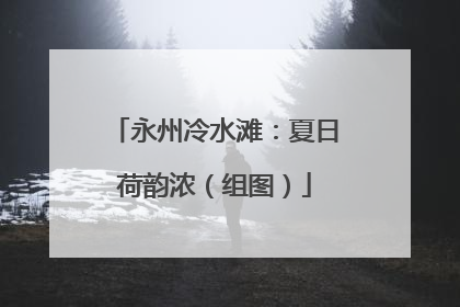 永州冷水滩：夏日荷韵浓（组图）