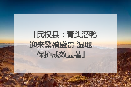 民权县：青头潜鸭迎来繁殖盛景 湿地保护成效显著