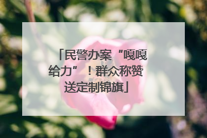 民警办案“嘎嘎给力”！群众称赞送定制锦旗