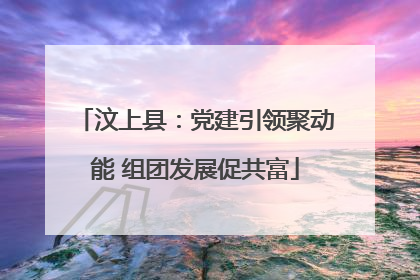 汶上县：党建引领聚动能 组团发展促共富