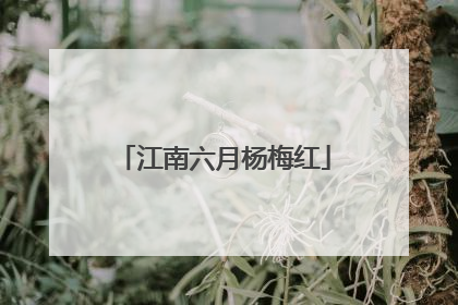 江南六月杨梅红
