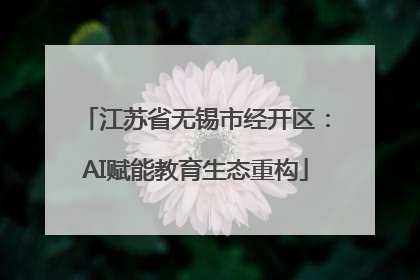 江苏省无锡市经开区：AI赋能教育生态重构