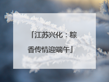 江苏兴化：粽香传情迎端午