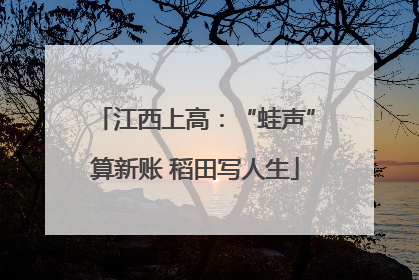 江西上高：“蛙声”算新账 稻田写人生
