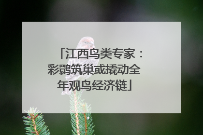 江西鸟类专家：彩鹮筑巢或撬动全年观鸟经济链