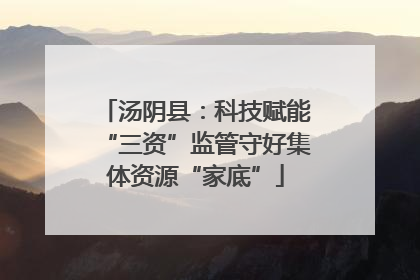 汤阴县：科技赋能“三资”监管守好集体资源“家底”