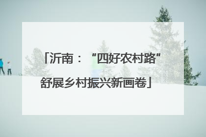 沂南：“四好农村路”舒展乡村振兴新画卷