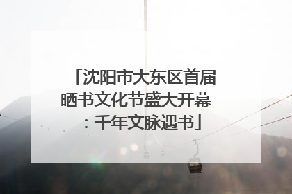 沈阳市大东区首届晒书文化节盛大开幕：千年文脉遇书
