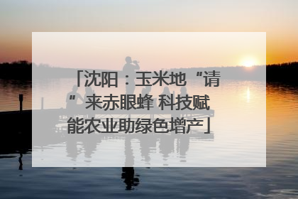 沈阳：玉米地“请”来赤眼蜂 科技赋能农业助绿色增产