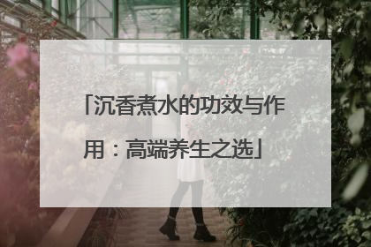 沉香煮水的功效与作用：高端养生之选