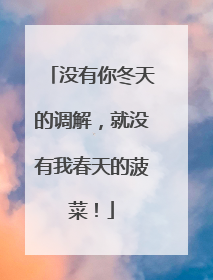 没有你冬天的调解，就没有我春天的菠菜！