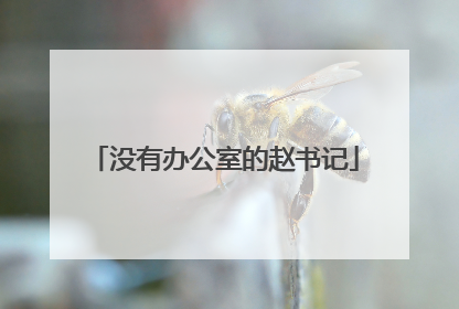 没有办公室的赵书记