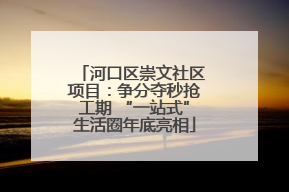 河口区崇文社区项目：争分夺秒抢工期 “一站式”生活圈年底亮相