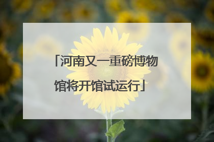 河南又一重磅博物馆将开馆试运行