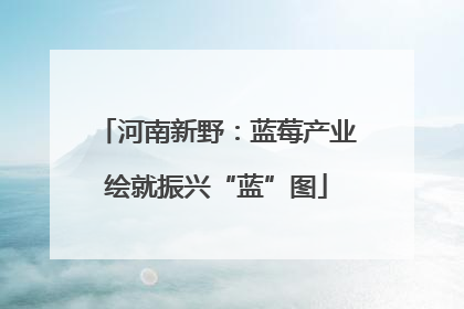 河南新野：蓝莓产业绘就振兴“蓝”图