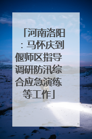 河南洛阳：马怀庆到偃师区指导调研防汛综合应急演练等工作