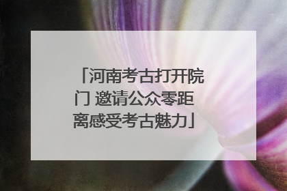 河南考古打开院门 邀请公众零距离感受考古魅力