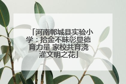 河南郸城县实验小学：拾金不昧彰显德育力量 家校共育浇灌文明之花