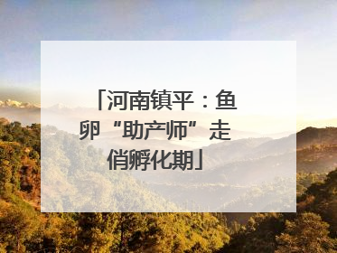 河南镇平：鱼卵“助产师”走俏孵化期