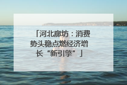 河北廊坊：消费势头稳点燃经济增长“新引擎”