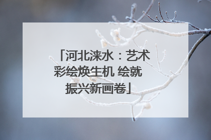 河北涞水：艺术彩绘焕生机 绘就振兴新画卷