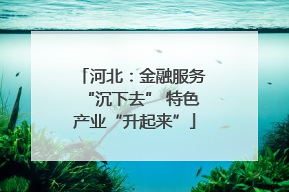 河北：金融服务“沉下去” 特色产业“升起来”