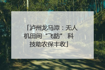 泸州龙马潭：无人机田间“飞防” 科技助农保丰收