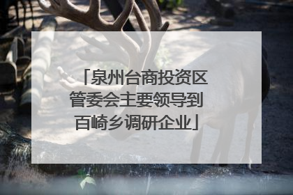 泉州台商投资区管委会主要领导到百崎乡调研企业