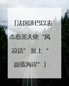 法国涉巴以表态惹美大使“风凉话” 扯上“蔚蓝海岸”