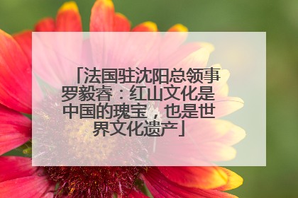 法国驻沈阳总领事罗毅睿：红山文化是中国的瑰宝，也是世界文化遗产