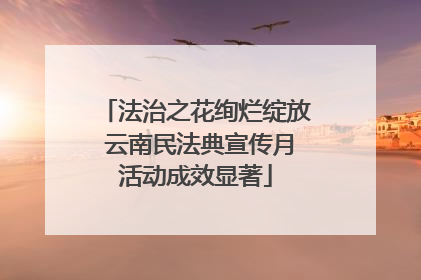 法治之花绚烂绽放 云南民法典宣传月活动成效显著