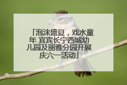 泡沫盛夏，戏水童年 宜宾长宁西城幼儿园及丽雅分园开展庆六一活动