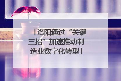 洛阳通过“关键三招”加速推动制造业数字化转型