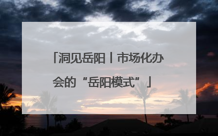 洞见岳阳丨市场化办会的“岳阳模式”