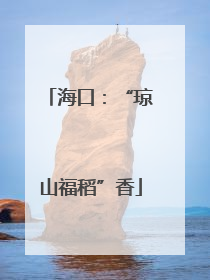 海口：“琼山福稻”香
