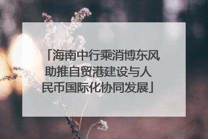 海南中行乘消博东风 助推自贸港建设与人民币国际化协同发展