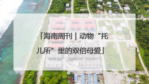 海南周刊｜动物“托儿所”里的双倍母爱