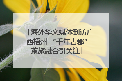 海外华文媒体到访广西梧州 “千年古郡”茶旅融合引关注